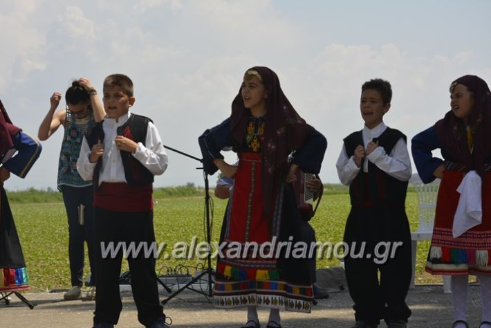 alexandriamou.gr_trikala28.5.2018176